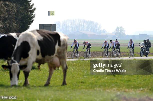 Training Team Csc, Paris-Roubaixillustration Illustratie, Cow Vache Koe, Landscape Paysage Landschap /Entrainement, Tim De Waele