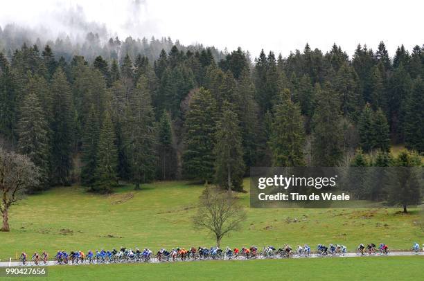 Tour De Romandie, Stage 1Illustratie Illustration, Rain Pluie Regen, Landscape Paysage Landschap, Forest Bois Bos /Morges - Saignel?Gier , Rit Etape,...