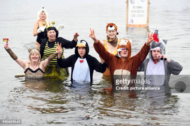 Swimmers in costumes in 2-degrees-centigrade water taking part in the 33rd "Eisfasching" winter swim of the club Berliner Seehunde at Orankesee in...