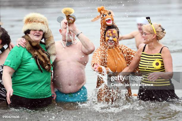 Swimmers in costumes in 2-degrees-centigrade water taking part in the 33rd "Eisfasching" winter swim of the club Berliner Seehunde at Orankesee in...