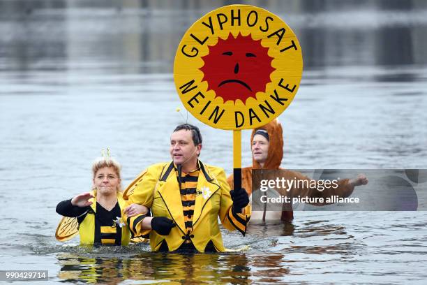 Swimmers in animal costumes holding a sign that reads "Glyphosat nein danke" in 2-degrees-centigrade water taking part in the 33rd "Eisfasching"...