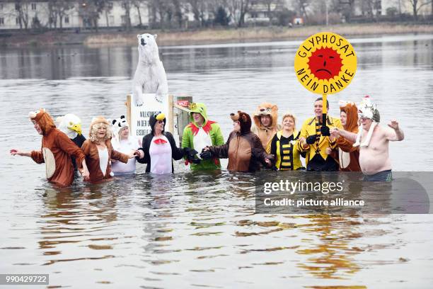 Swimmers in animal costumes holding a sign that reads "Glyphosat nein danke" in 2-degrees-centigrade water taking part in the 33rd "Eisfasching"...