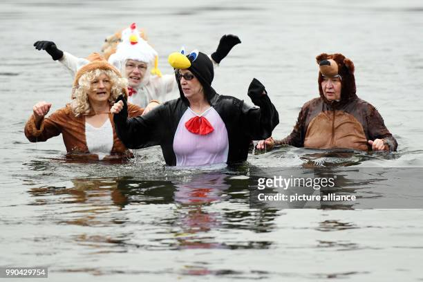 Group of costumed swimmers of the Berlin Club "Seehunde" stands at the open-air swimming pool Orankesee during the 33rd Winter Swim Ice Carneval in...
