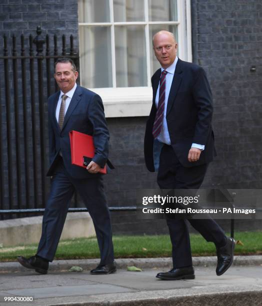 International Trade Secretary Liam Fox and Transport Secretary Chris Grayling arrive in Downing Street, London, for a Cabinet meeting.