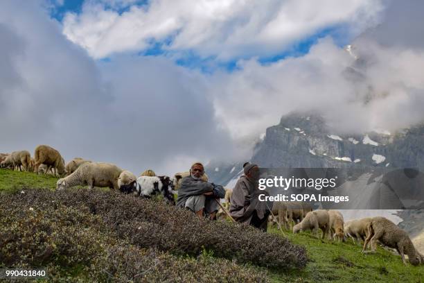 Kashmiri nomadic bakarwals seen sitting on the mountain near Gangabal lake located at the foothills of Harmukh Mountain. The Gangabal Lake also...