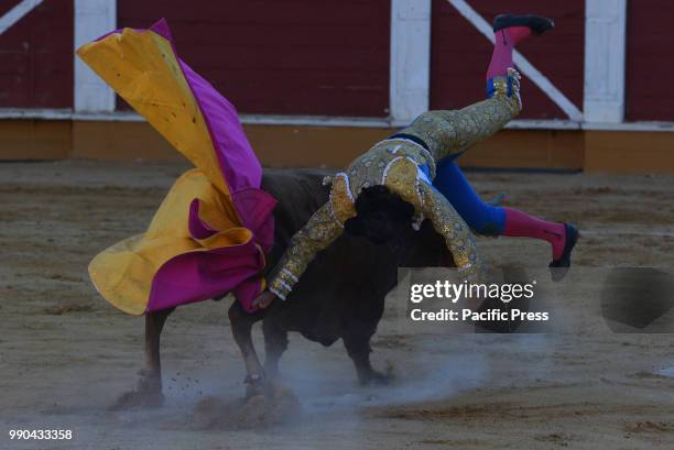 Spanish bullfighter Román Collado is tossed by a 'Torrestrella' ranch fighting bull during a bullfight at the 'La Chata' bullring in Soria, north of...