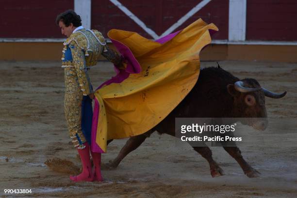 Spanish bullfighter Roman Collado performs with a 'Torrestrella' ranch fighting bull during a bullfight at the 'La Chata' bullring in Soria, north of...