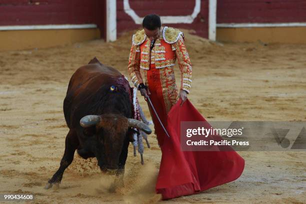 Spanish bullfighter Enrique Ponce performs with a 'Torrestrella' ranch fighting bull during a bullfight at the 'La Chata' bullring in Soria, north of...