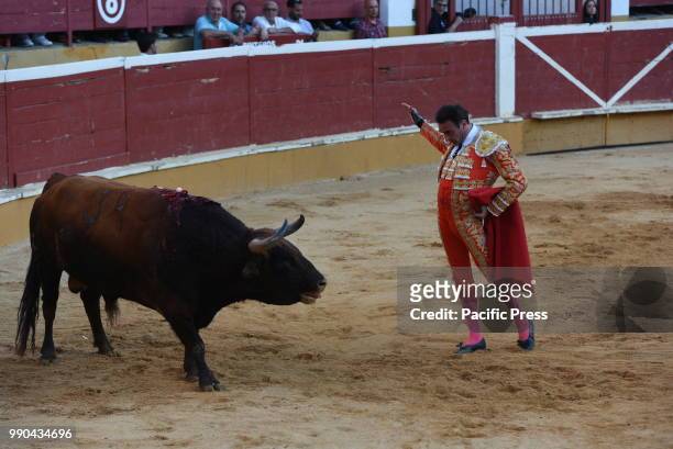 Spanish bullfighter Enrique Ponce performs with a 'Torrestrella' ranch fighting bull during a bullfight at the 'La Chata' bullring in Soria, north of...