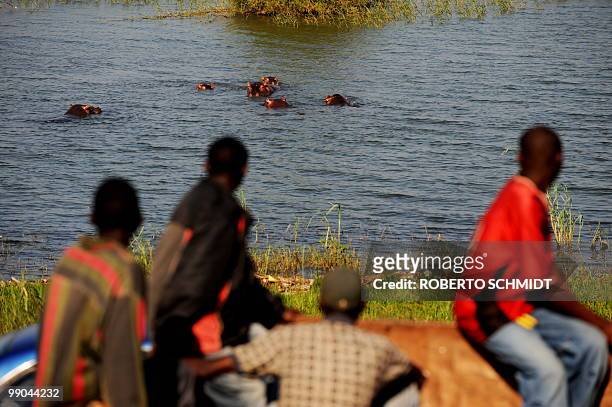 Four Burundian men look at a group of hippos wallowing near the coast of Lake Tanganyika on May 12, 2010. Even though the residents of the city are...