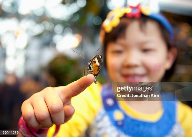 young girl holds a butterfly on her finger.  - butterfly insect stock pictures, royalty-free photos & images