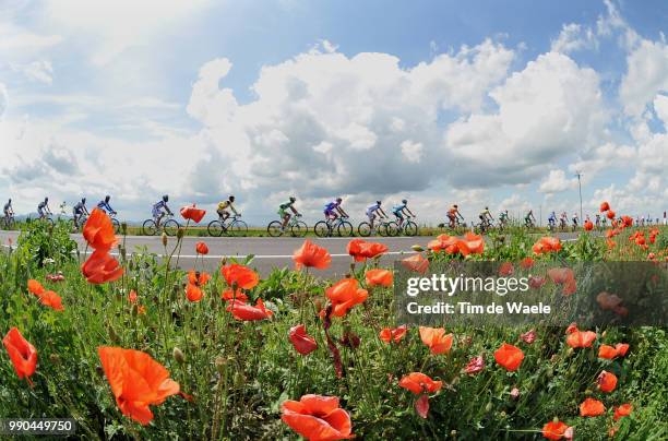 Giro D'Italia, Stage 12Illustration Illustratie, Peleton Peloton, Flower Fields Champs De Fleurs Bloemen Veld, Landscape Paysage Landschap /Forli -...