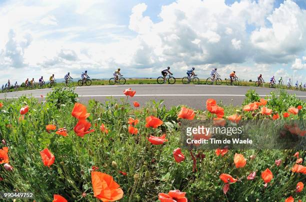 Giro D'Italia, Stage 12Illustration Illustratie, Peleton Peloton, Flower Fields Champs De Fleurs Bloemen Veld, Landscape Paysage Landschap /Forli -...