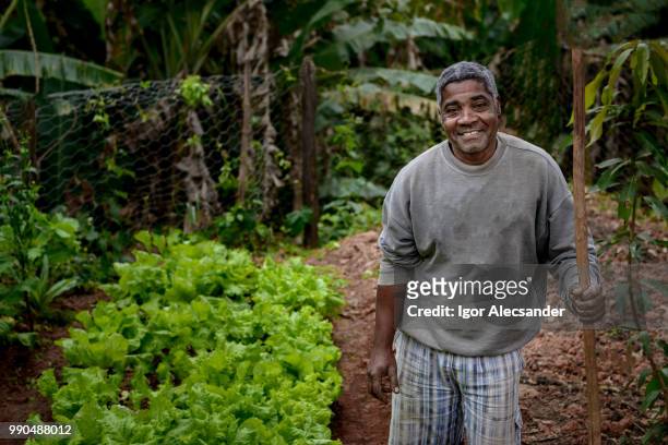 agricultor brasileño orgulloso - petite latina fotografías e imágenes de stock