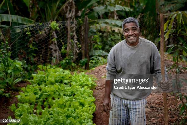 agricultor brasileiro orgulhoso - small - fotografias e filmes do acervo