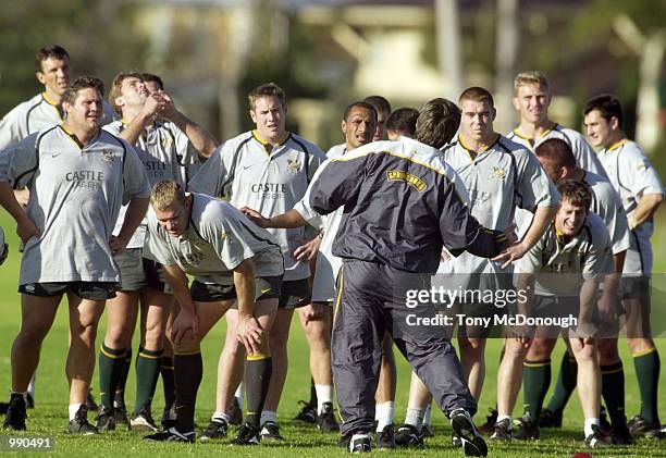 1 770 South Africa Springboks Rugby Union Stock Photos, High-Res ...