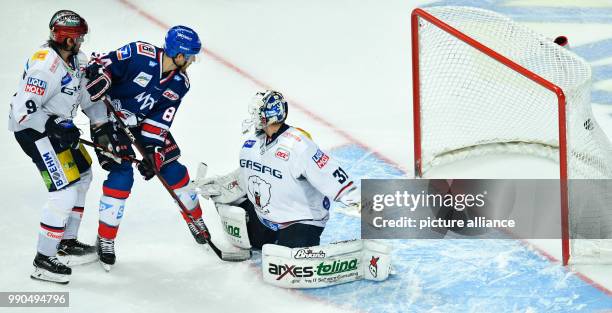 Mannheim's Andrew Desjardins scores the 6:1 passing Berlin's goalkeeper Petri Vehanen and Daniel Richmond at the SAP-Arena in Mannheim, Germany, 14...