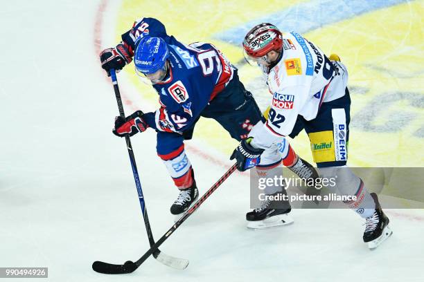 Mannheim's Phil Hungerecker and Berlin's Marcel Noebels fight over the puck at the SAP-Arena in Mannheim, Germany, 14 January 2018. Photo: Uwe...