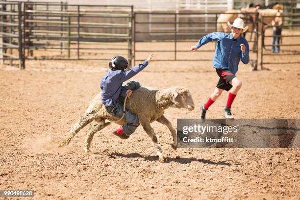 Kids Riding Sheep Photos and Premium High Res Pictures - Getty Images