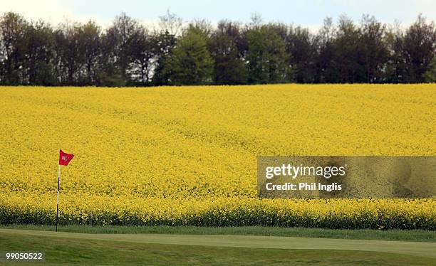 General view of the third green beside a field of oil seed rape in bloom during the first round of the Handa Senior Masters presented by the...