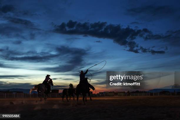 cowgirl and cowboy team roping at an evening rodeo - lusso stock pictures, royalty-free photos & images