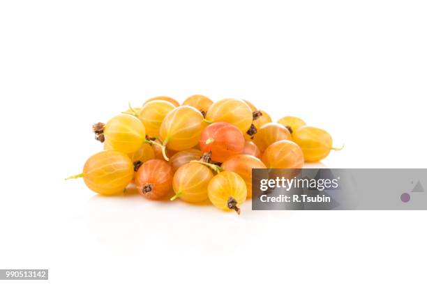 fresh juicy gooseberry isolated on a white background - gooseberry - fotografias e filmes do acervo