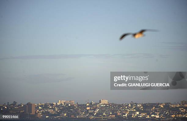 Bird flies over the city of Port Elizabeth on May 12, 2010 from the highway to grahamstown. Port Elizabeth will be one of the host city for the 2010...