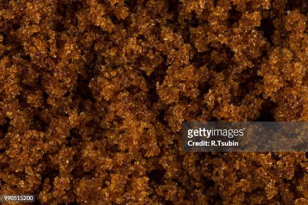 brown muscovado sugar close up macro background shot - anatomical substance imagens e fotografias de stock