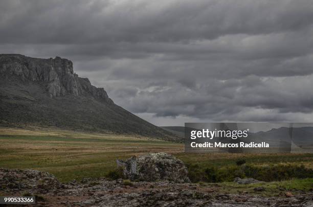 patagonian steppe - radicella stock-fotos und bilder
