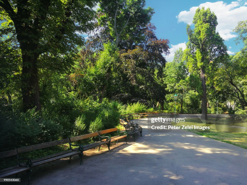 Vienna Stadtpark on a summer day