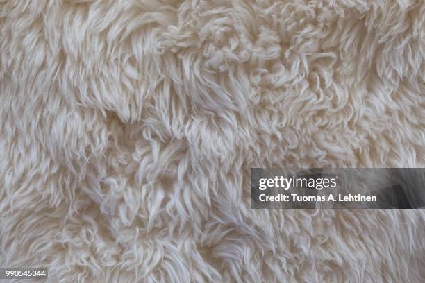 close-up of a white shaggy carpet texture background viewed from above - wollig stockfoto's en -beelden