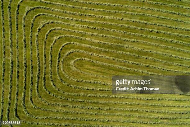 aerial view of a mowed meadow, bavaria, germany, europe - miesbach fotografías e imágenes de stock