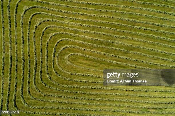 aerial view of a mowed meadow, bavaria, germany, europe - miesbach stockfoto's en -beelden