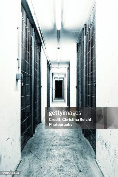 hallway in a cellar looking like a prison - prison door stock pictures, royalty-free photos & images