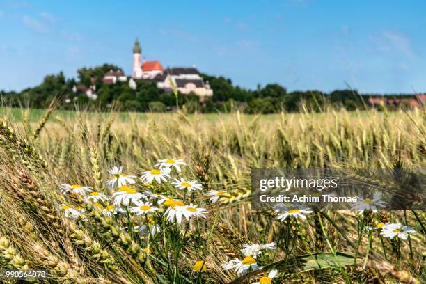 andechs abbey, bavaria, germany, europe - achim thomae fotografías e imágenes de stock