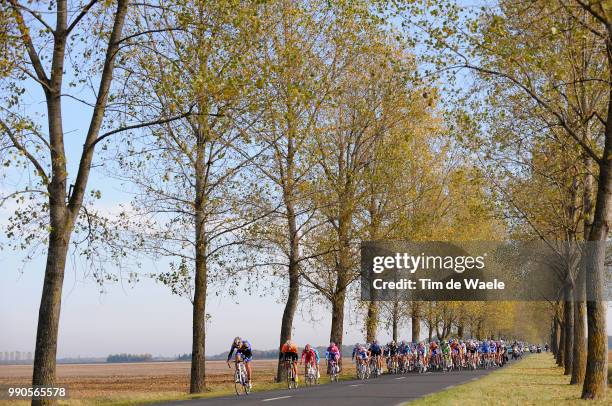 102Nd Paris-Toursillustration Illustratie, Peleton Peloton, Forest Bois Bos, Landscape Paysage Landschap /Saint-Arnoult-En-Yvelines - Tours , Parijs,...