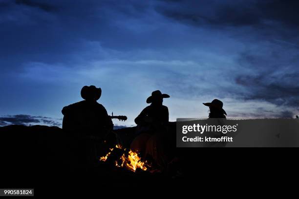 silhouette der familie am lagerfeuer gitarre anhören - country western outside stock-fotos und bilder