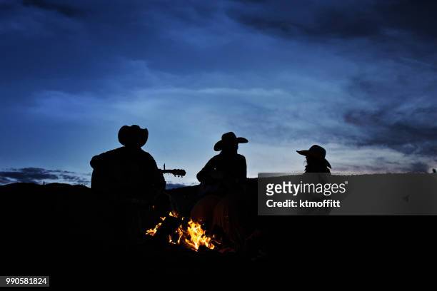 silhouette of family at campfire listening to guitar - musician silhouette stock pictures, royalty-free photos & images