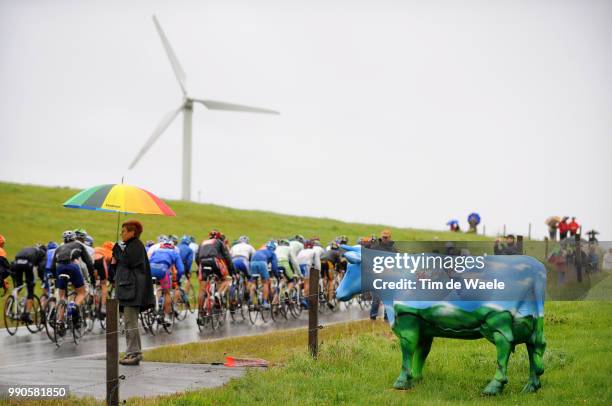 Tour Of Germany, Stage 5Illustration Illustratie, Peleton Peloton, Cow Vache Koe, Rain Pluie Regen, Landscape Paysage Landschap, Mainz - Winterberg ,...