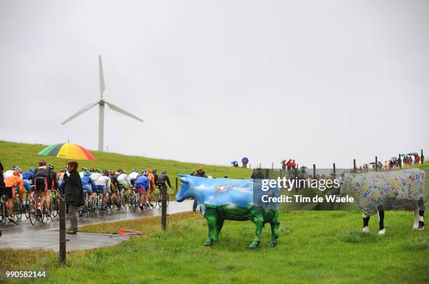 Tour Of Germany, Stage 5Illustration Illustratie, Peleton Peloton, Cow Vache Koe, Rain Pluie Regen, Landscape Paysage Landschap, Mainz - Winterberg ,...