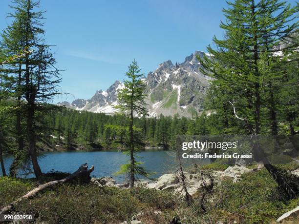 view of lago nero at alpe devero (black lake) - top nero stock pictures, royalty-free photos & images