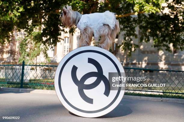 Dog poses next to the Chanel logo before the Chanel's 2018-2019 Fall/Winter Haute Couture collection fashion show at the Grand Palais in Paris, on...