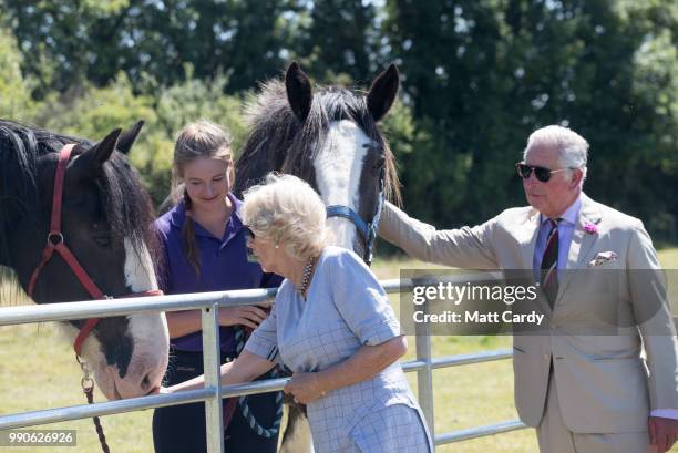 Camilla, the Duchess of Cornwall, and Prince Charles, Prince of Wales greet horses as they visit Dyfed Shire Horse Farm in Eglwyswrw on July 3, 2018...
