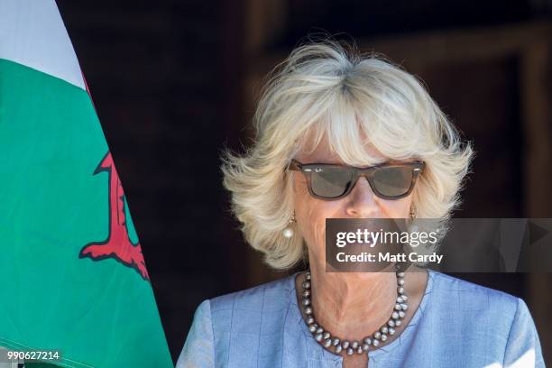 Camilla, the Duchess of Cornwall, visits Dyfed Shire Horse Farm in Eglwyswrw on July 3, 2018 in Pembrokeshire, Wales. Dyfed Shire Horse Farm is a...