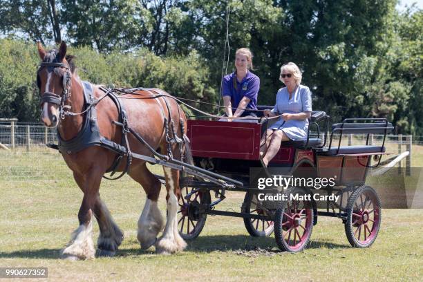 Camilla, the Duchess of Cornwall, is taken for a carriage ride as she visits Dyfed Shire Horse Farm in Eglwyswrw on July 3, 2018 in Pembrokeshire,...