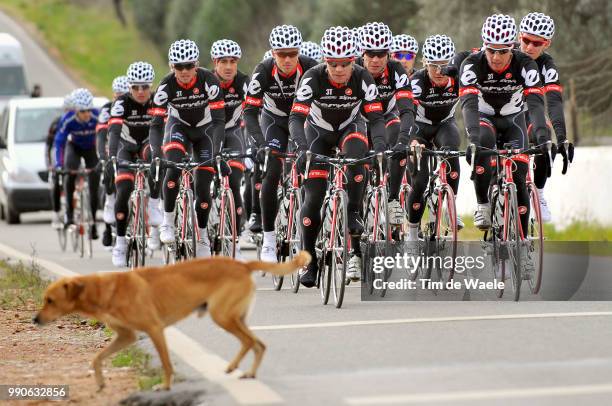 Team Cervelo 2009 Roger Hammond , Andreas Klier , Heinrich Haussler , Thor Hushovd , Illustration Illustratie, Peleton Peloton, Dog Chien Hond, ,...