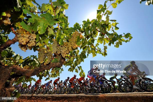 64Th Tour Of Spain - Vuelta, Stage 6Illustration Illustratie, Peleton Peloton, Vineyards Vignobles Wijngaard, Grapes Raisin Druiven, Landscape...