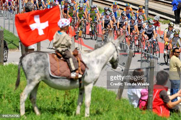 Tour De France 2009, Stage 14Illustration Illustratie, Swiss Donkey Ane Ezel, Fans Supporters, Peleton Peloton, Team Columbia - Htc , Team Saxo Bank...