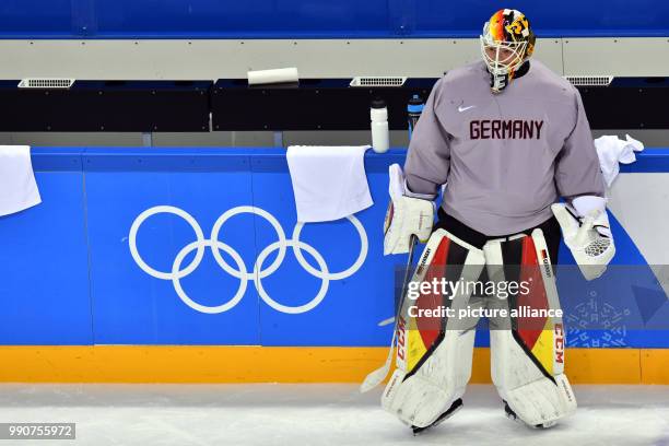 German hockey player Goalie Danny aus den Birken stands on the ice during a training session of the German team at Kwandong-Hockey-Centre in...