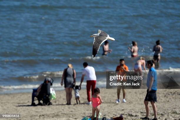 Seagull on the lookout for scraps glides above people enjoying the sun on Silver Sands beach at the start of the Scottish school holidays as the...